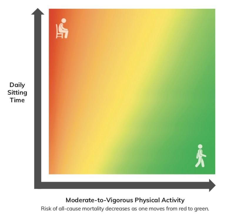 Sit Less, Get Active Human Canada