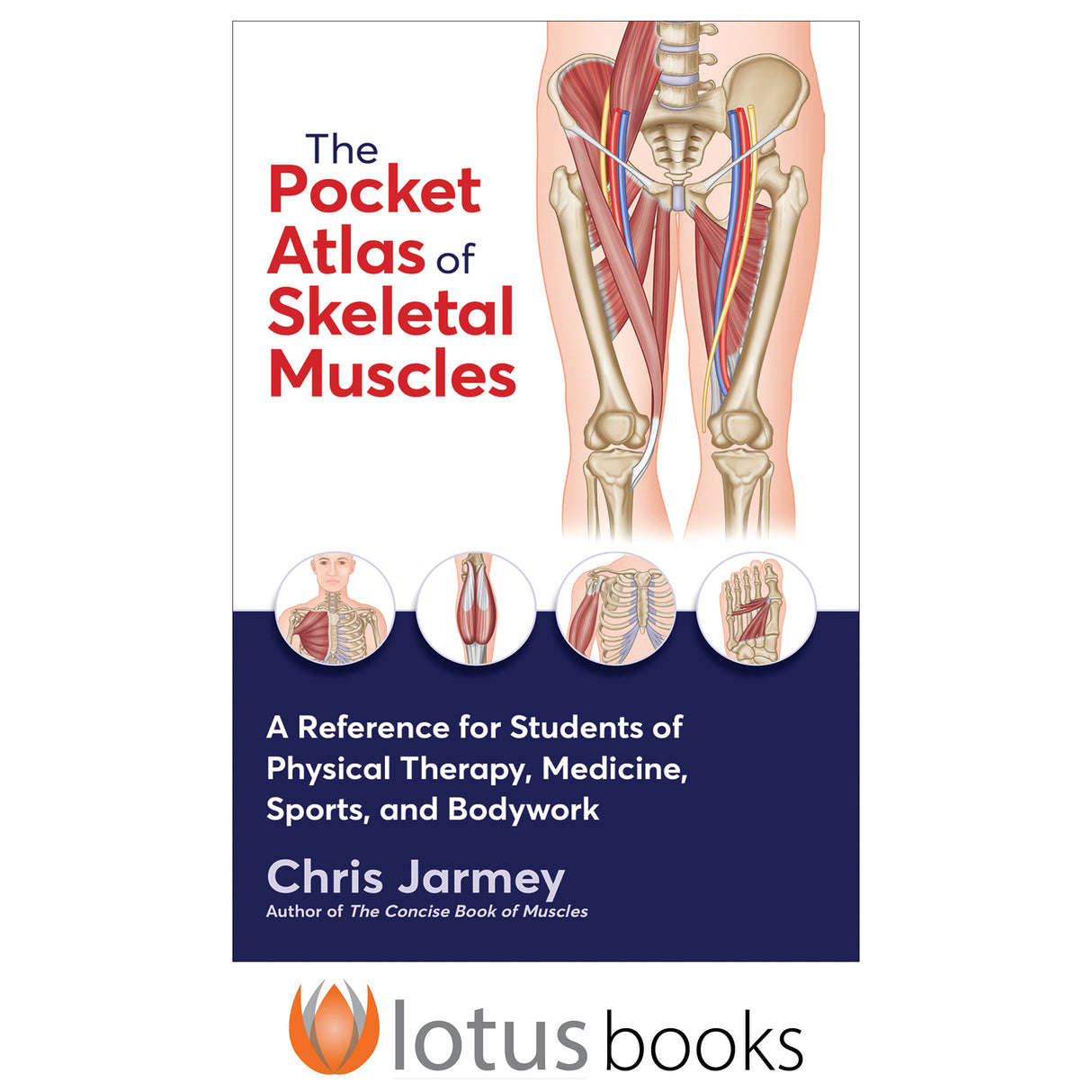 The Pocket Atlas of Skeletal Muscles