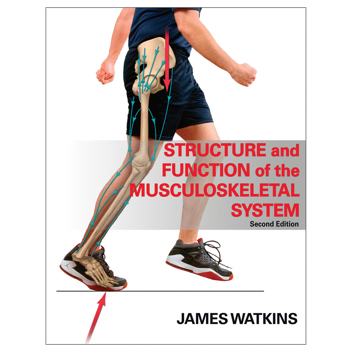 Structure and Function of the Musculoskeletal System - 2E