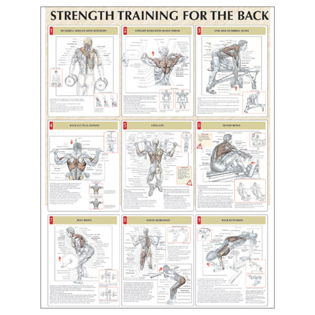 Strength Training for the Back Poster