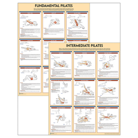 Pilates Anatomy Poster Series