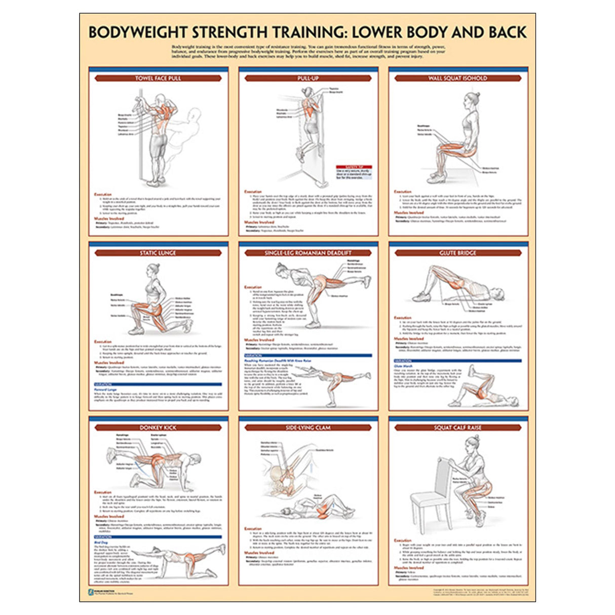 Bodyweight Strength Training Poster: Lower Body and Back