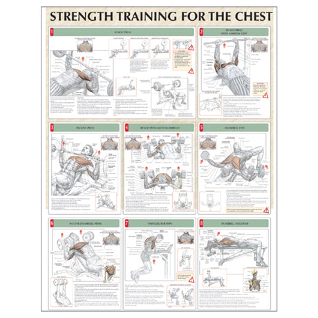 Strength Training for the Chest Poster