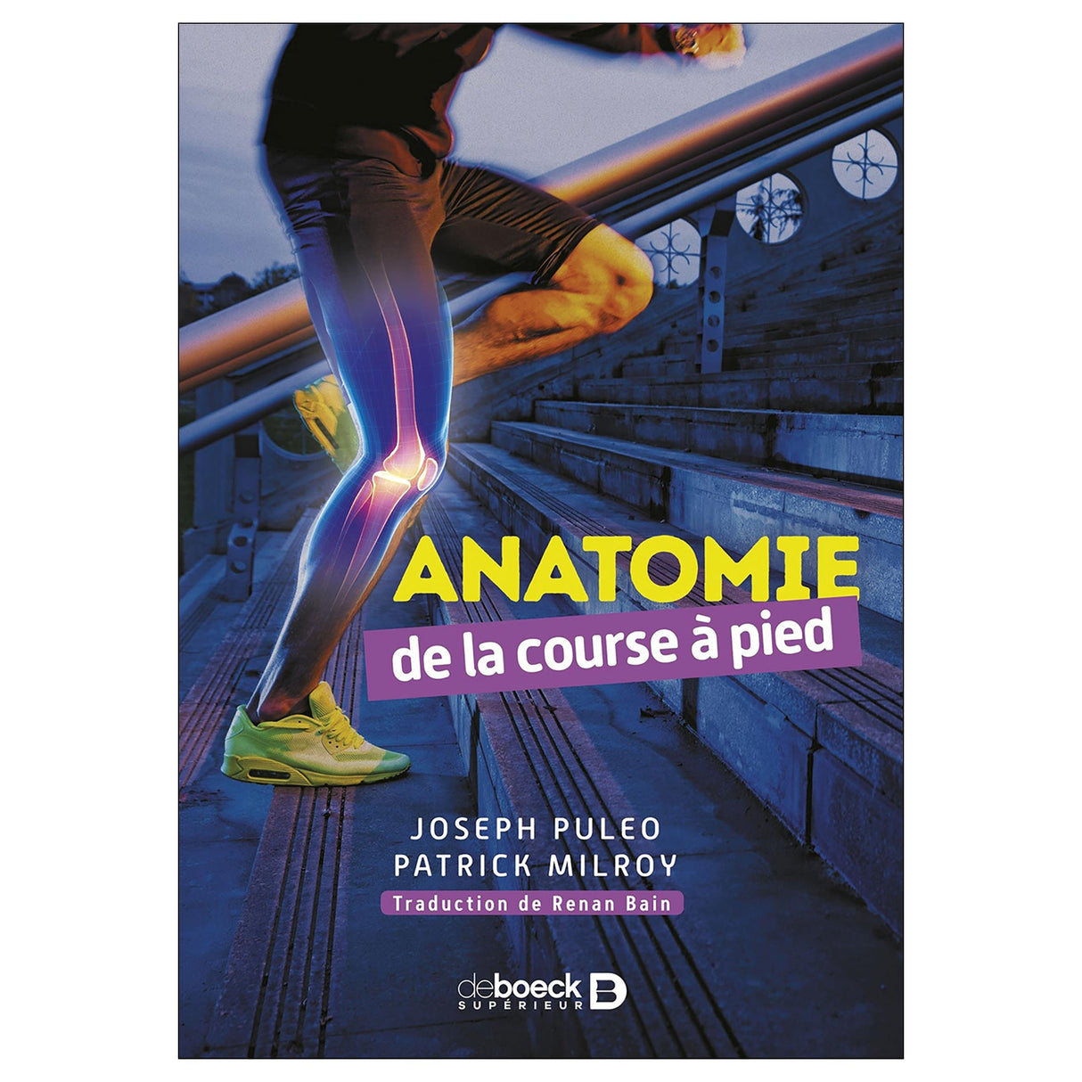 Anatomie de la course à pied