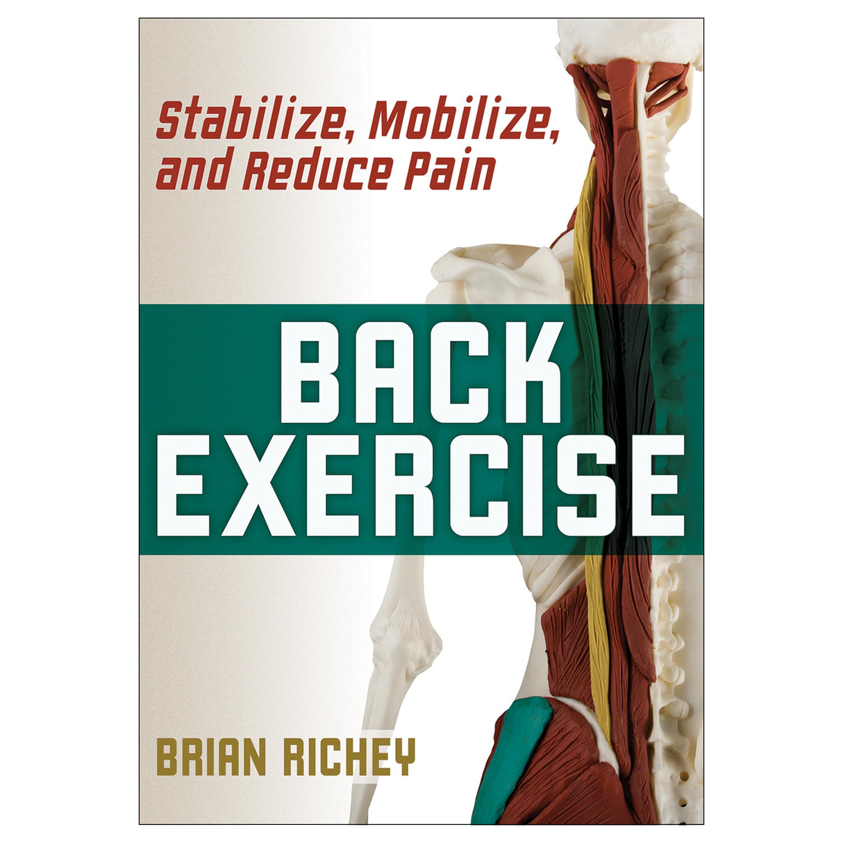 Back Exercise epub