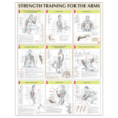 Strength Training for the Arms Poster