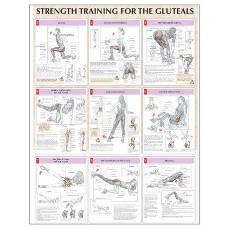 Strength Training for the Buttocks Poster