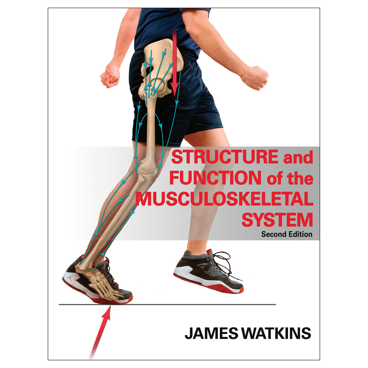 Structure and Function of the Musculoskeletal System 2nd Edition PDF