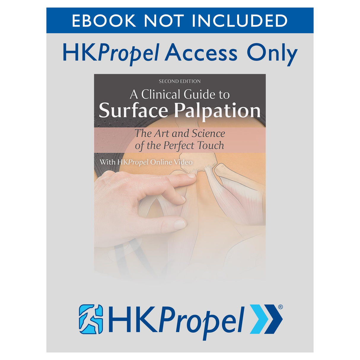 A Clinical Guide to Surface Palpation 2nd Edition HKPropel Online Video-Ebook not included
