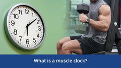 What are muscle clocks?