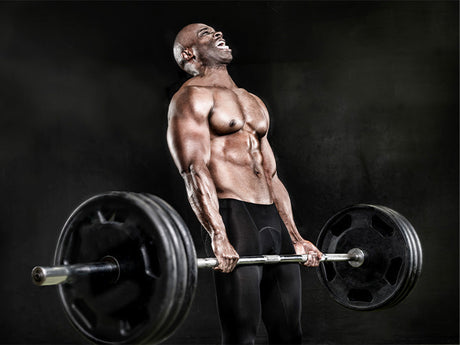 Best hypertrophy training resources