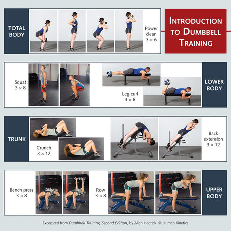 Dumbbell training introduction cycle workout