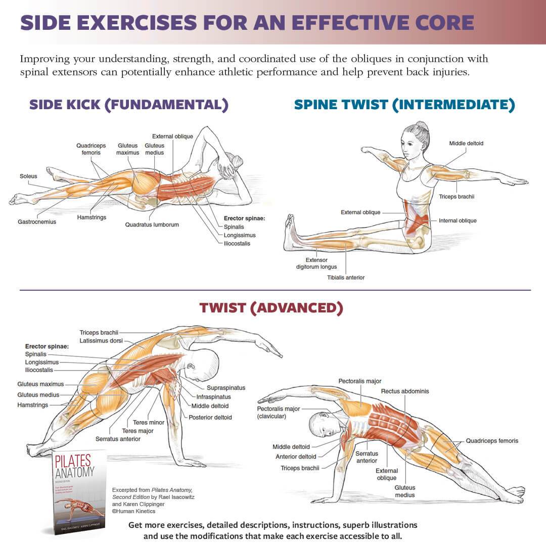 Side exercises for an effective core – Human Kinetics Canada