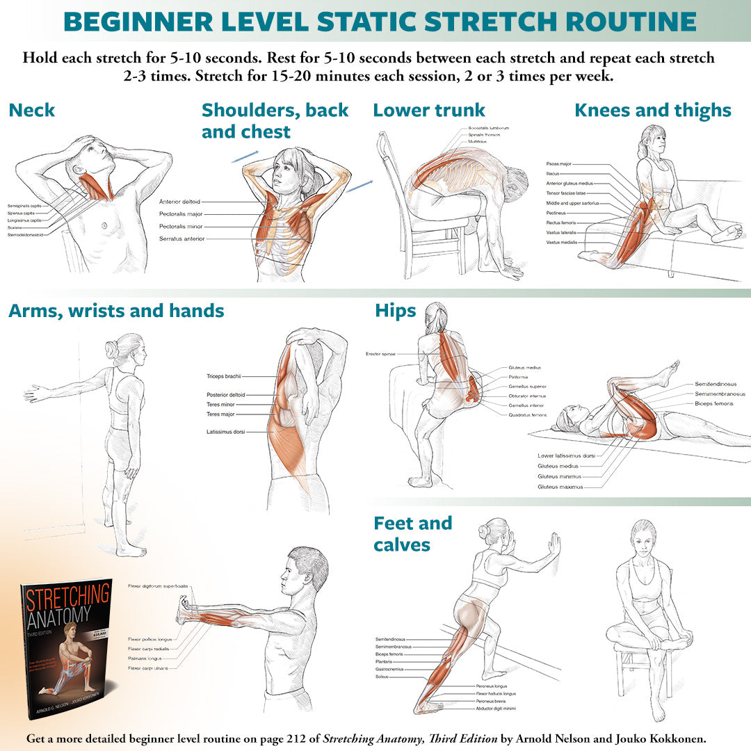 Beginner Stretching Routine – Human Kinetics Canada