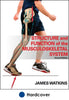 Structure of the knee facilitates extension and flexion