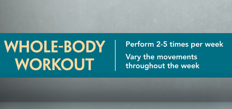 Whole body workout