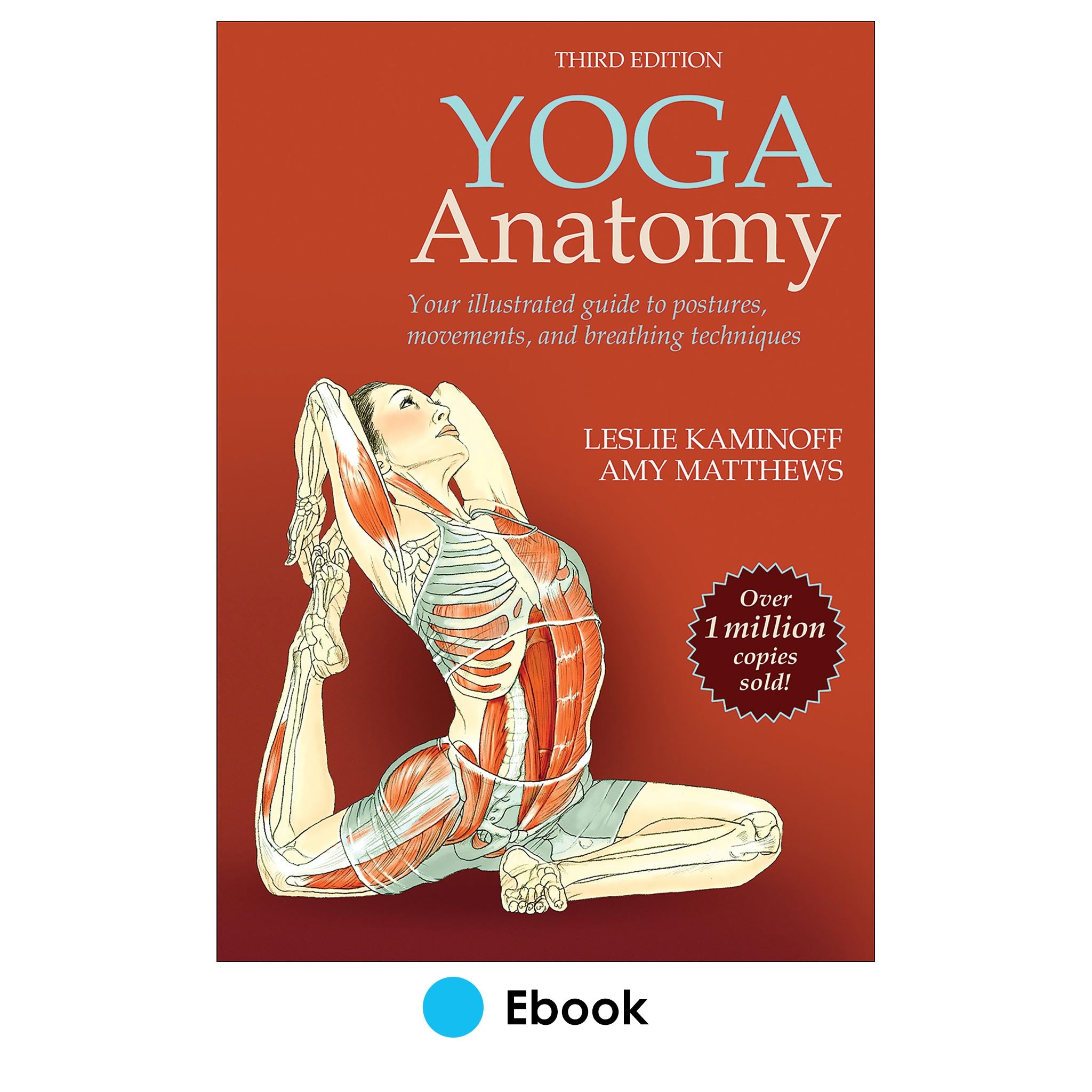 Yoga Anatomy 3rd Edition epub – Human Kinetics Canada