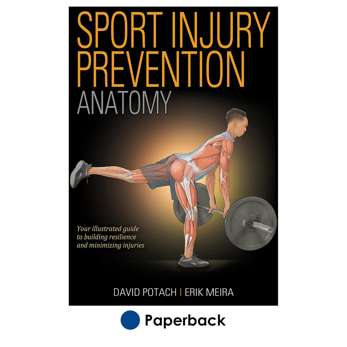 Sport Injury Prevention Anatomy