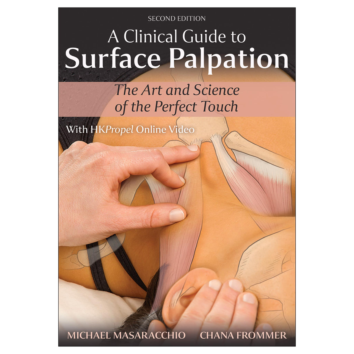 A Clinical Guide to Surface Palpation 2nd Edition epub