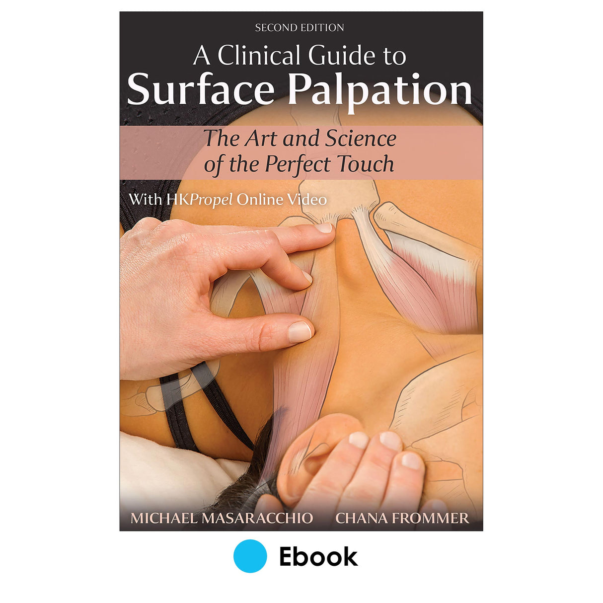 Clinical Guide to Surface Palpation 2nd Edition Ebook With HKPropel Online Video, A