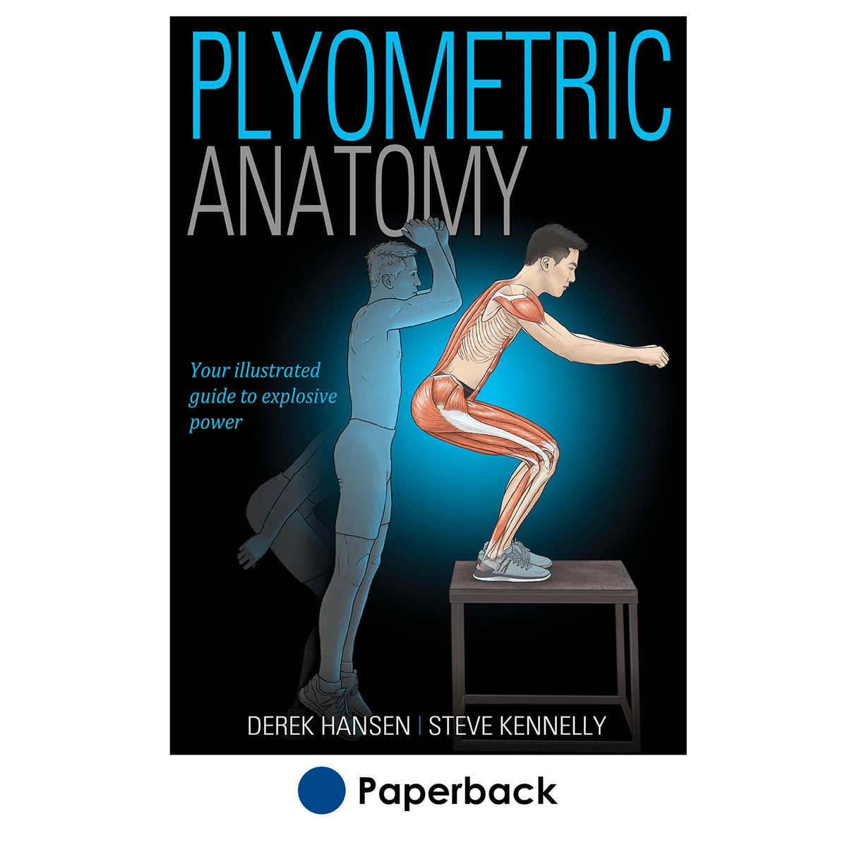Plyometric Anatomy