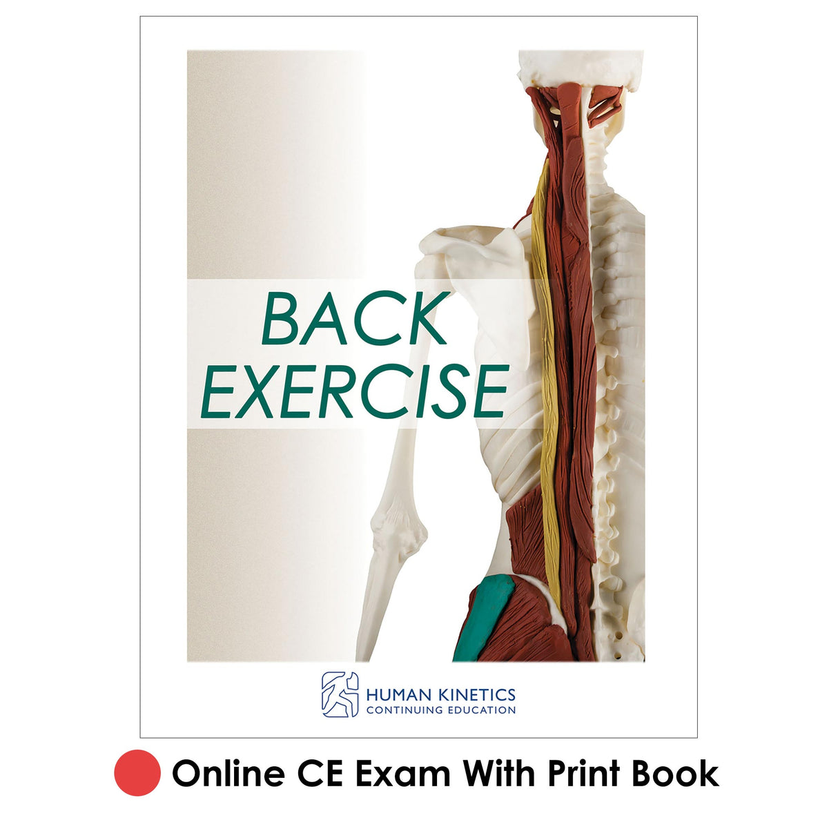 Back Exercise Online CE Exam With Print Book