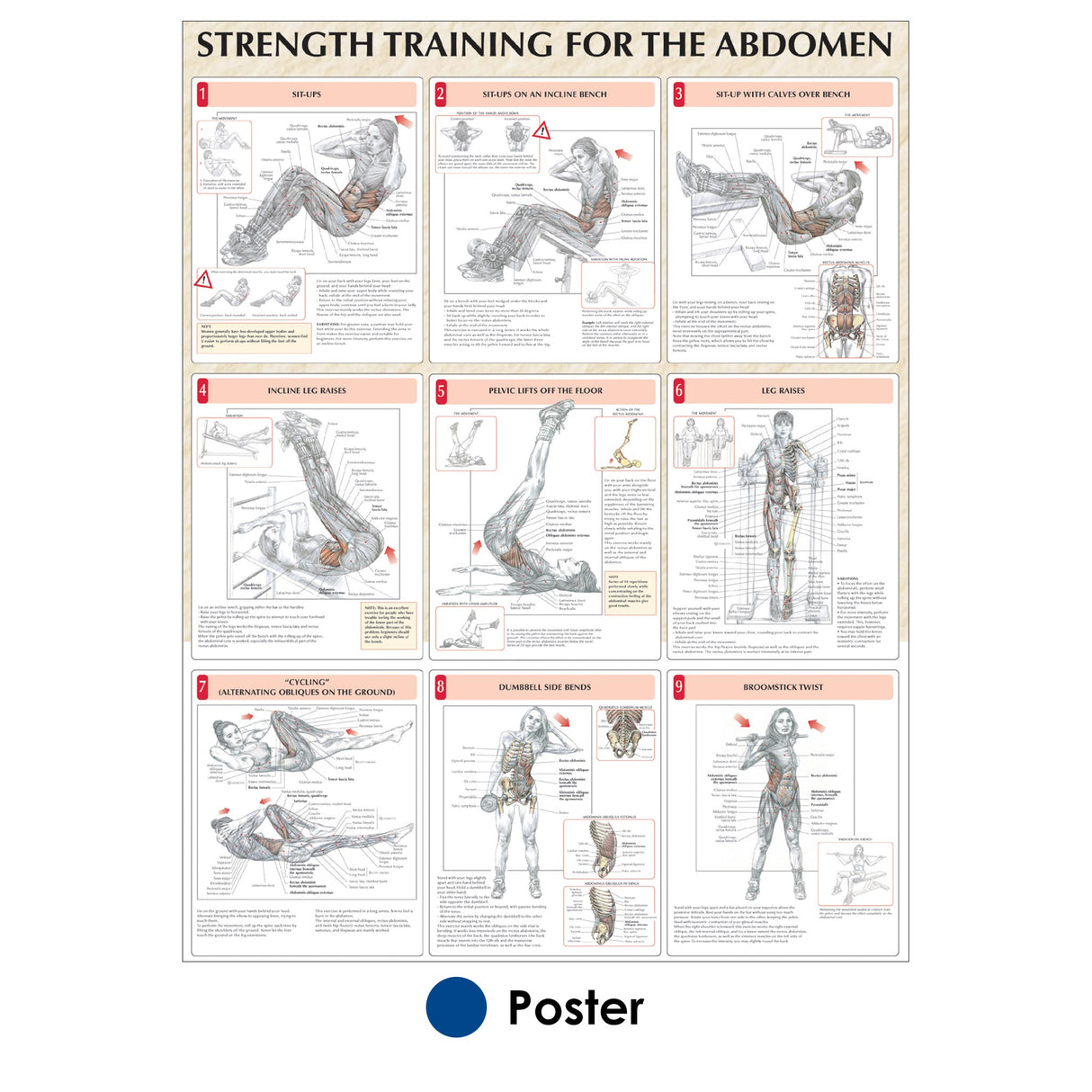 Strength Training for the Abdomen Poster