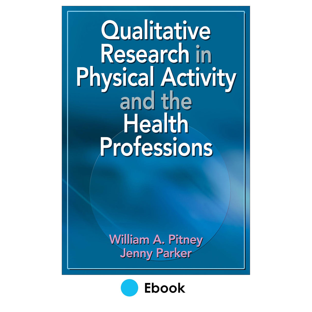 Qualitative Research in Physical Activity and the Health Professions PDF