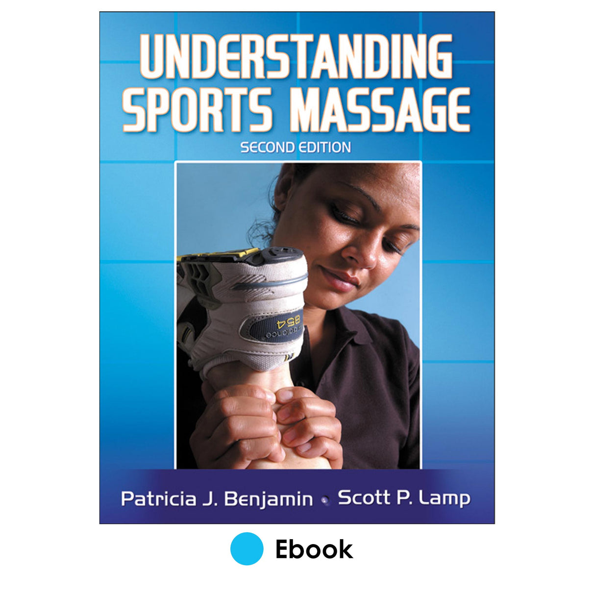 Understanding Sports Massage 2nd Edition PDF