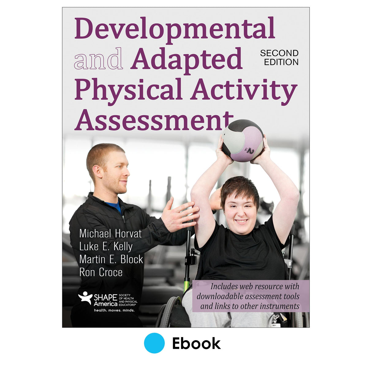Developmental and Adapted Physical Activity Assessment 2nd Edition PDF With Web Resource