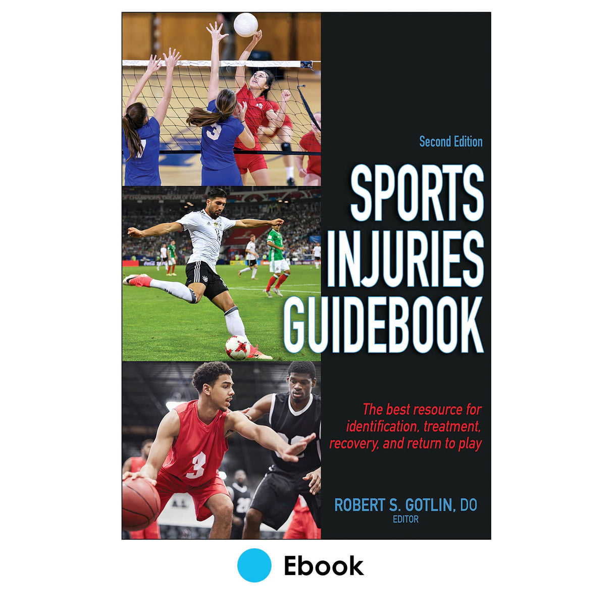 Sports Injuries Guidebook 2nd Edition epub