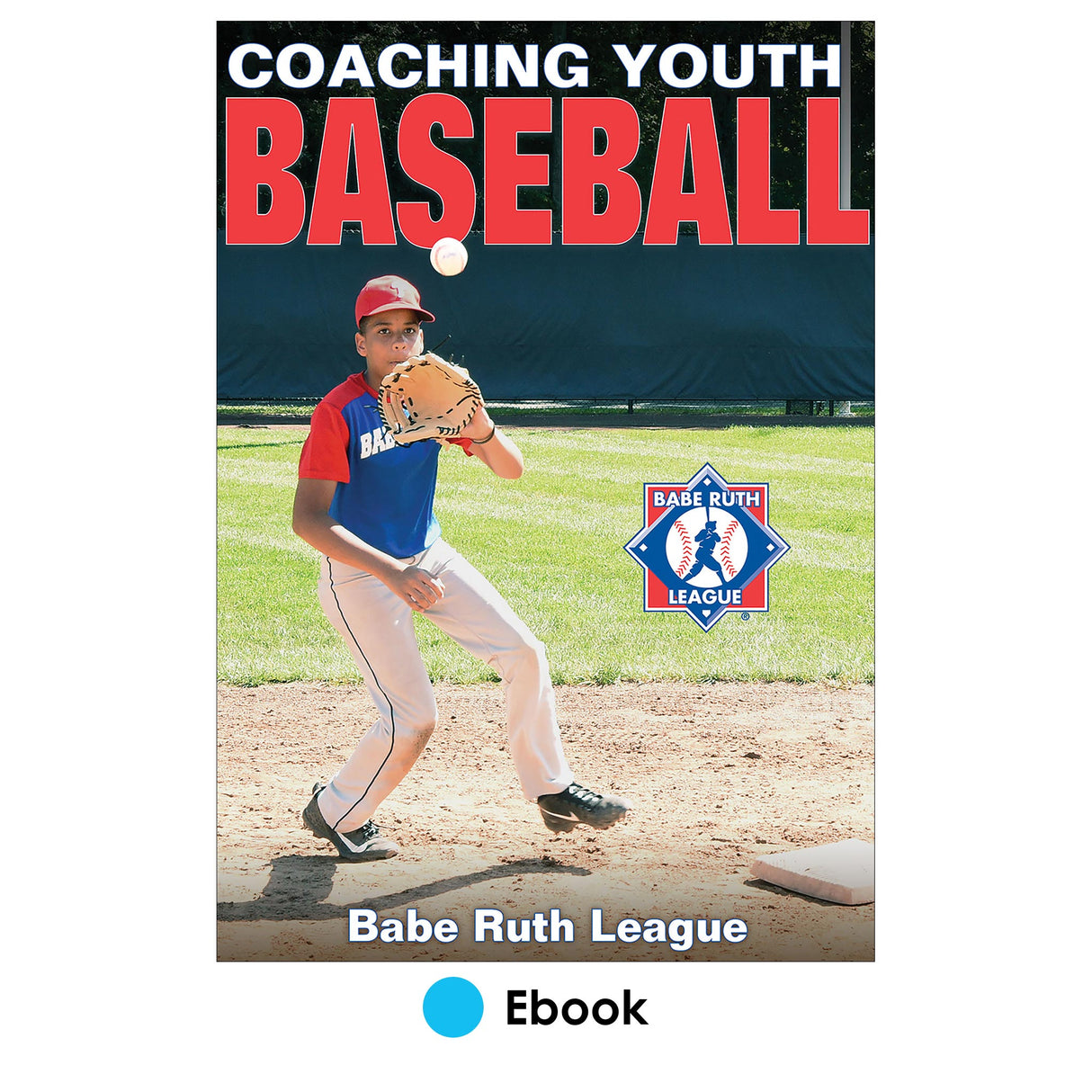 Coaching Youth Baseball epub