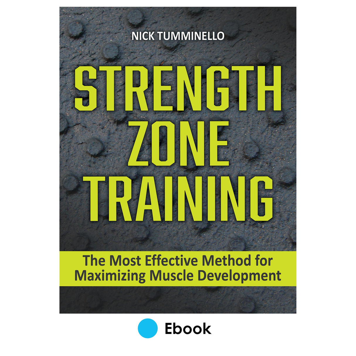 Strength Zone Training epub