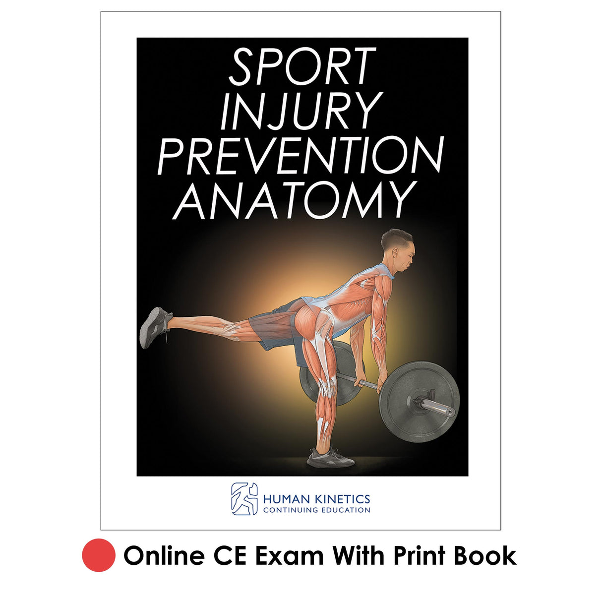 Sport Injury Prevention Anatomy Online CE Exam With Print Book