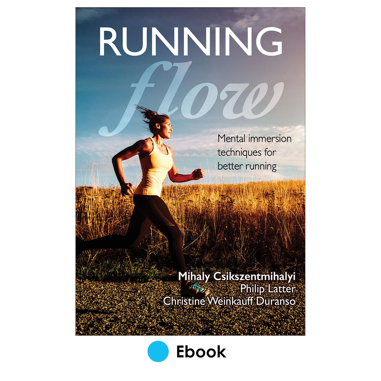 Running Flow PDF